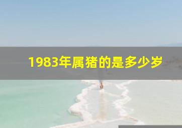 1983年属猪的是多少岁