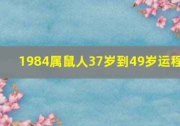 1984属鼠人37岁到49岁运程