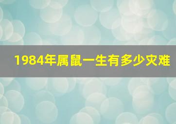 1984年属鼠一生有多少灾难