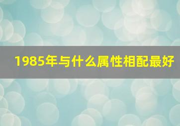 1985年与什么属性相配最好