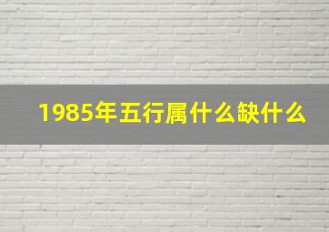 1985年五行属什么缺什么