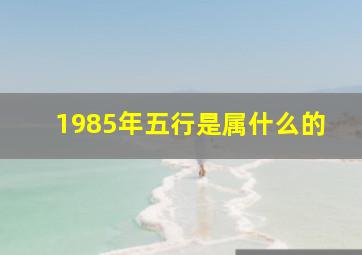 1985年五行是属什么的