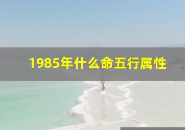 1985年什么命五行属性