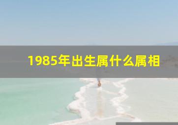 1985年出生属什么属相