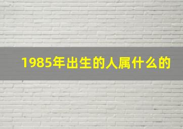 1985年出生的人属什么的