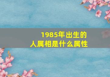 1985年出生的人属相是什么属性