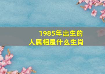 1985年出生的人属相是什么生肖