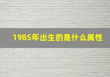 1985年出生的是什么属性