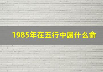 1985年在五行中属什么命