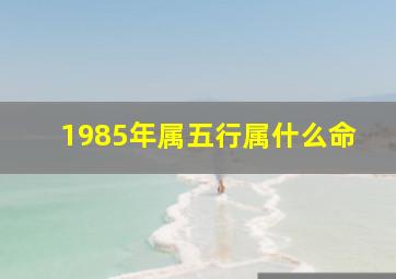 1985年属五行属什么命