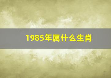 1985年属什么生肖