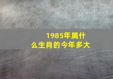 1985年属什么生肖的今年多大