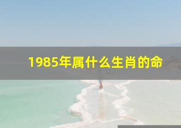 1985年属什么生肖的命