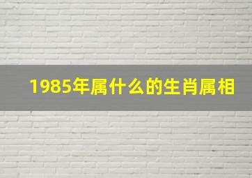 1985年属什么的生肖属相