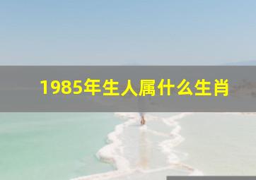 1985年生人属什么生肖