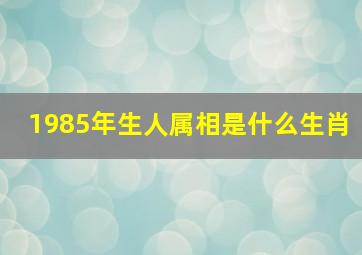 1985年生人属相是什么生肖