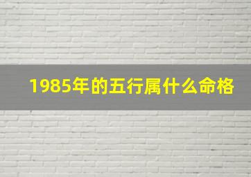 1985年的五行属什么命格