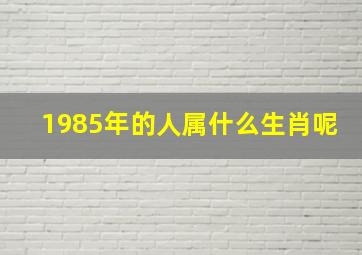 1985年的人属什么生肖呢