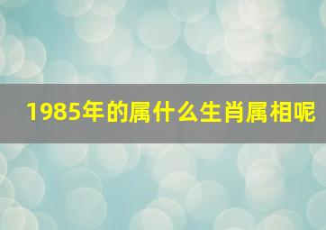 1985年的属什么生肖属相呢