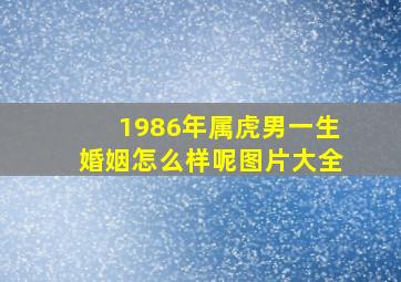 1986年属虎男一生婚姻怎么样呢图片大全