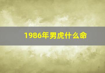 1986年男虎什么命