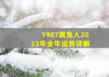 1987属兔人2023年全年运势详解