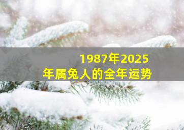 1987年2025年属兔人的全年运势