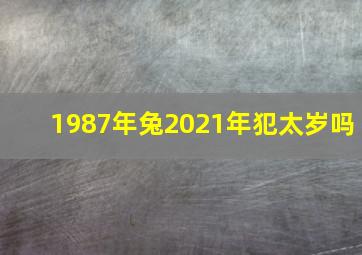 1987年兔2021年犯太岁吗