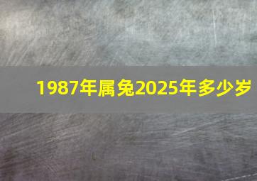 1987年属兔2025年多少岁