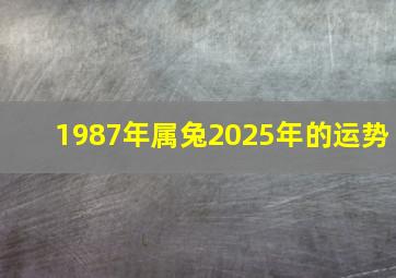 1987年属兔2025年的运势