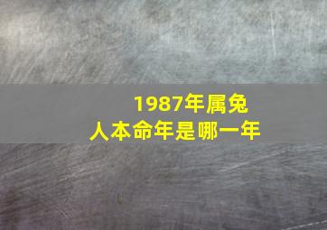 1987年属兔人本命年是哪一年