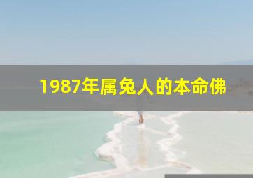 1987年属兔人的本命佛