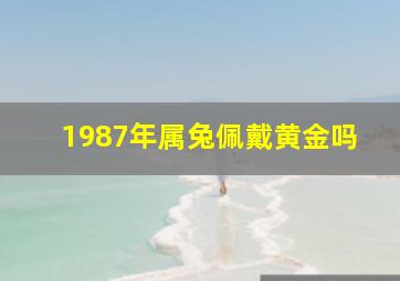 1987年属兔佩戴黄金吗