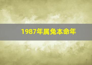 1987年属兔本命年