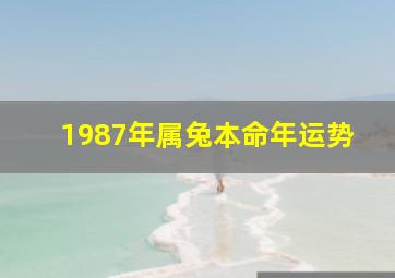 1987年属兔本命年运势