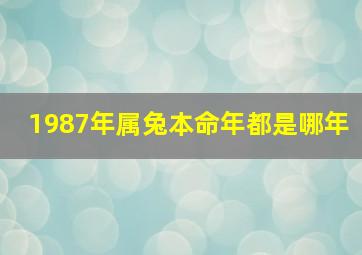 1987年属兔本命年都是哪年