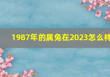 1987年的属兔在2023怎么样