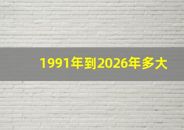 1991年到2026年多大