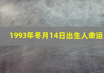 1993年冬月14日出生人命运