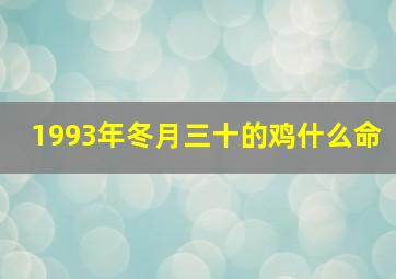 1993年冬月三十的鸡什么命