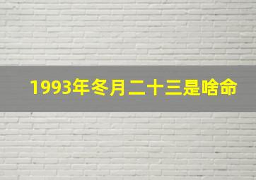 1993年冬月二十三是啥命