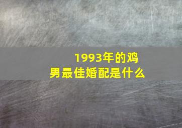 1993年的鸡男最佳婚配是什么