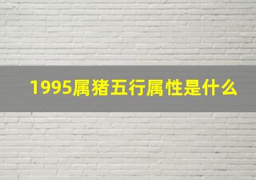 1995属猪五行属性是什么