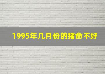 1995年几月份的猪命不好