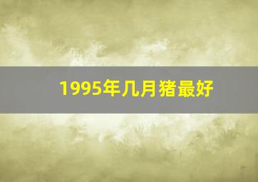 1995年几月猪最好