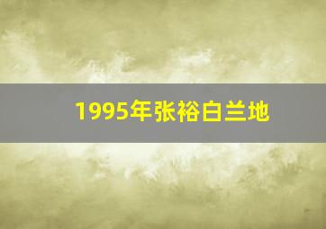 1995年张裕白兰地