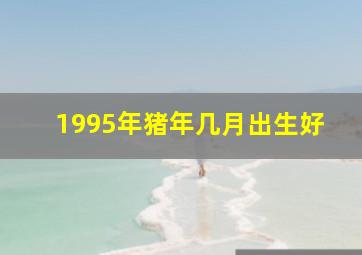 1995年猪年几月出生好