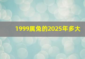 1999属兔的2025年多大