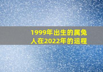 1999年出生的属兔人在2022年的运程