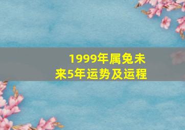 1999年属兔未来5年运势及运程